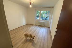 Schön geschnittene, frisch komplett sanierte 3-Zimmer-Wohnung  mit Balkon in der Schinnrainstraße 3 – Schinnrainstraße 3, 76227 Durlach, Karlsruhe – Vorschaubild 9