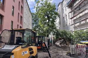 Neue Dachaufstockung. 3 Zimmer. Projekt -Florastr.12- – Florastr. 12, 13187 Pankow (Ortsteil), Berlin – Vorschaubild 9