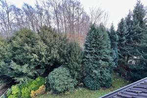 Seltene Chance, kl. Garten mit eigener Terrasse in zentraler schöner Lage von Heisingen – Die vollständige Adresse der Immobilie erhältst du vom Anbieter., 48354 Heisingen, Essen – Vorschaubild 4