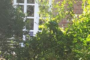 Bauernhaus mit bezauberndem Garten – Quelkhorner Landstraße 3, 28870 Ottersberg – Vorschaubild 22