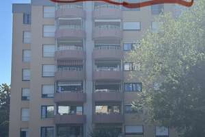 Penthouse auf dem Haidach. Das woll schönste und attraktivste Haus in der Umgebung.  – Kösliner Straße 5, 75181 Haidach, Pforzheim – Vorschaubild 21