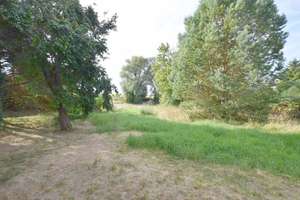 Auf 2.400m² Grundstück! Große Fachwerkhaushälfte zum Sanieren in idyllischer Feldrandlage... – Die vollständige Adresse der Immobilie erhältst du vom Anbieter., 38387 Twieflingen – Vorschaubild 14