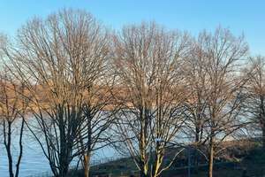 Wohnen zwischen Rheinlicht & Abendsonne: 3‑Zimmer‑Wohnung mit Rheinblick in Köln‑Niehl von privat