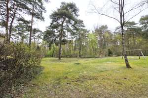 Appartment in schöner Waldlage im EG am Grunewald /nahe U3 Onkel-Tom-Hütte / FREI ab 1.9.26 – Die vollständige Adresse der Immobilie erhältst du vom Anbieter., 14169 Zehlendorf, Berlin – Vorschaubild 14