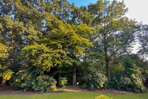 Exklusives Wohnen - Villa in Toplage – Bremen – Vorschaubild 38