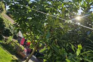 Hochw. saniert RMH;Dachloggia, Kamin, Garten, Doppelgarage, Keller ruhige Wohnlage, 340 qm; – Mainz-Bingen (Kreis) – Vorschaubild 7