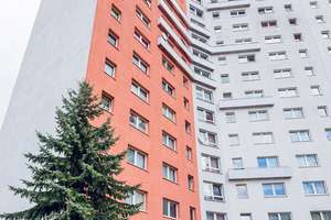 Vorfreude inklusive: Zuhause nach Renovierung und das zum Aktionspreis ! – Carl-Schorlemmer-Ring 26, 6122 Nördliche Neustadt, Halle (Saale) – Vorschaubild 8