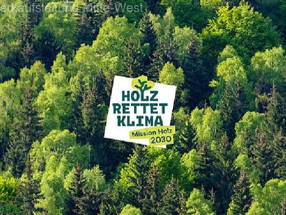 Holz rettet Klima