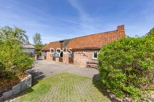 Reiten 
und Wohnen! – Lüneburg (Kreis) – Vorschaubild 9