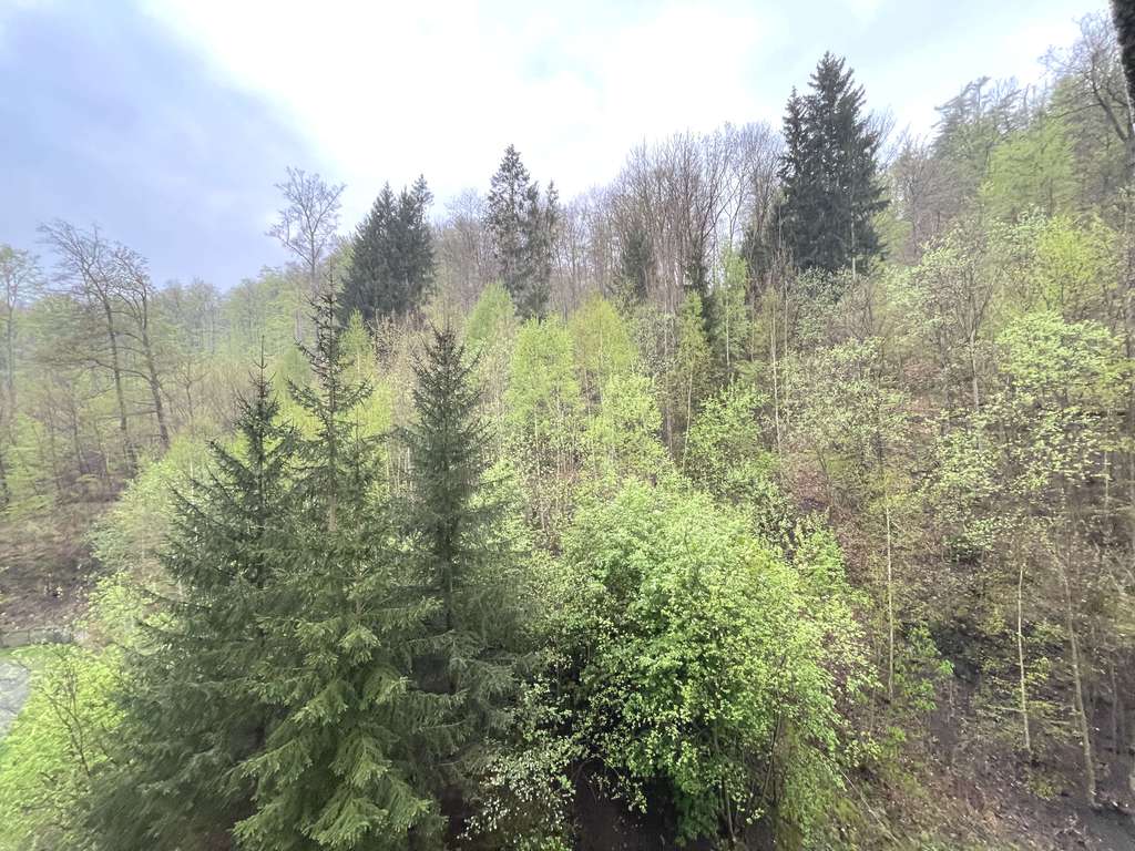 Helle, moderne 2-Zi.-Wohnung mit Balkon