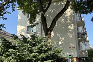 Wohnen wie im Baumhaus mit Blick auf die Stadtkirche  – Darmstadt – Vorschaubild 9