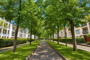 Wohnen im Grünen in Düsseldorf - attraktive 2-Zimmer-Wohnung mit Loggia – 40595 Hellerhof, Düsseldorf – Vorschaubild 13