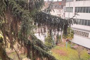 Property thumbnail 14