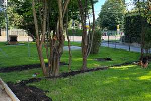 Property thumbnail 18