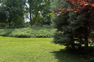 Den goldenen Herbst am Neckar genießen – mit großer Terrasse & Garten – 68167 Neckarstadt-Ost/Wohlgelegen, Mannheim – Vorschaubild 26