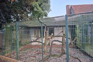 Tiere Willkommen! Der" Martinshof" 2.0 - Ein Anwesen im Landhausstil am Heiligen Meer in Hopsten ! – Kleines-Meer-Str. 5, 48496 Steinfurt (Kreis) – Vorschaubild 10