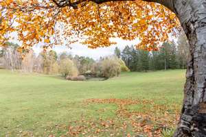 Property thumbnail 15