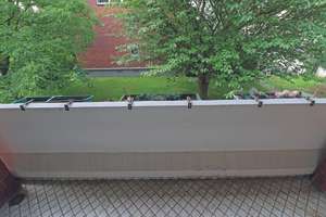 Gut geschnittene 3-Zimmer-Wohnung: 
Do It Yourself - mit Balkon , Garage, Ruhig und gut angebunden – Die vollständige Adresse der Immobilie erhältst du vom Anbieter., 51143 Zündorf, Köln – Vorschaubild 8