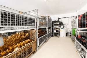 WEINGUT, WOHNHAUS, GASTRONOMIE & PRODUKTIONSHALLE 🏡🍷 Alles auf einem Anwesen in Mainz-Kostheim! – Die vollständige Adresse der Immobilie erhältst du vom Anbieter., 55252 Mainz-Kostheim, Wiesbaden – Vorschaubild 14