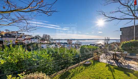 Bild von Stilvolle Altbauvilla mit Elbblick 
