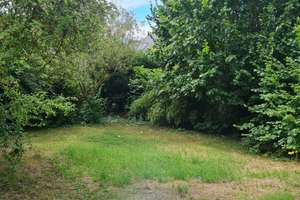 Freistehendes Einfamilienhaus mit 2 Garagen in ruhiger schöner Lage in Meeebusch Lank. 017647372433 – Die vollständige Adresse der Immobilie erhältst du vom Anbieter., 40668 Meerbusch – Vorschaubild 6
