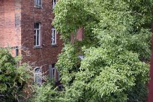 Top Lage Zentrum  voll möbl. gr. 4  Zi. mit Flair  Uni/Innenstadt – Loewenichstraße 18, 91054 Loewenich, Erlangen – Vorschaubild 37