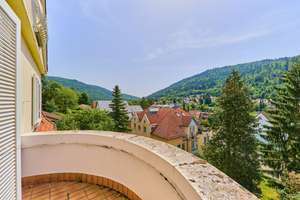 Freistehendes Einfamilienhaus mit villenartigem Charme, Gartenbereichen und Ausbaupotenzial – Die vollständige Adresse der Immobilie erhältst du vom Anbieter., 69118 Ziegelhausen, Heidelberg – Vorschaubild 25