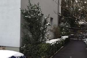Wohnen mit Charakter: Kompaktes 1-Zimmer-Apartment in Würzburg