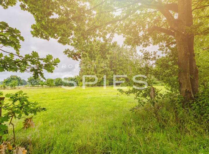 Real Estate Title Image Background