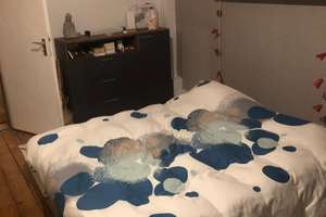 Helle 2-Zimmer Wohnung in Braunschweig-Östliches Ringgebiet – Altewiekring 21a, 38102 Östliches Ringgebiet, Braunschweig – Vorschaubild 8