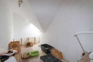 Attraktive 3 Zimmer Dachgeschosswohnung mit Balkon in Mönchengladbach Lürrip – Die vollständige Adresse der Immobilie erhältst du vom Anbieter., 41065 Lürrip, Mönchengladbach – Vorschaubild 8