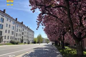 Tolle Pärchen-Wohnung mit Stellplatz und schönem Balkon! – Lutherstraße 32, 9126 Lutherviertel, Chemnitz – Vorschaubild 2