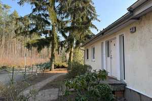Freistehendes Einfamilienhaus mit großem Garten in ruhiger Lage – Berlin – Vorschaubild 8