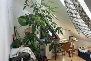 Top DG-Wohnung mit Wintergarten - Nähe Rotkreuzplatz – Schulstrasse 42, 80634 Neuhausen, München – Vorschaubild 6