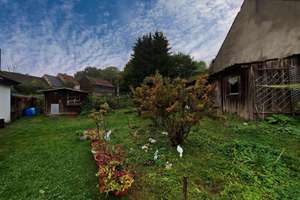 Zweifamilienhaus in Gefrees / OT Falls – Die vollständige Adresse der Immobilie erhältst du vom Anbieter., 95482 Gefrees – Vorschaubild 4