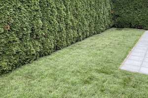 Property thumbnail 36