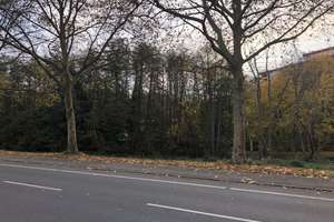 Maisonette-Wohnung in Bestlage – Olpketalstraße 146, 44229 Rombergpark-Lücklemberg, Dortmund – Vorschaubild 2
