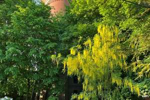 Privatverkauf : Historisch denkmalgeschützter Wasserturm in Bremerhaven