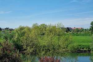 Schmuckes TOP 2-3-FH mit schönem Garten u. Neckarblick  in Ilvesheim - 30003848 – Rhein-Neckar-Kreis – Vorschaubild 23