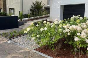 Wohnen am Stadtpark – hochwertig renovierte 70-m²-Wohnung