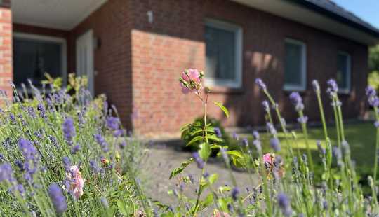 Bild von Ein Traum-Bungalow für Zwei -
oder Ausbaureserve nutzen