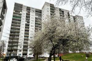 Property thumbnail 12