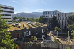 Schöne 3-Zimmer-Wohnung mit zwei Balkonen in Heidelberg