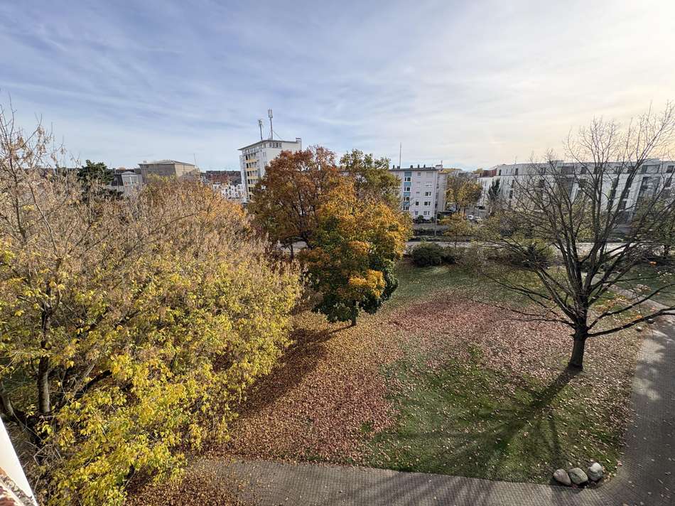 Blick vom Balkon hinten