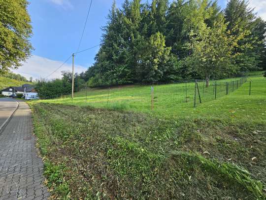 Großzügiges Baugrundstück in schöner Waldrandlage in Freudenberg-Niederheuslingen