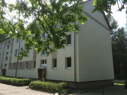 Single frauen parchim