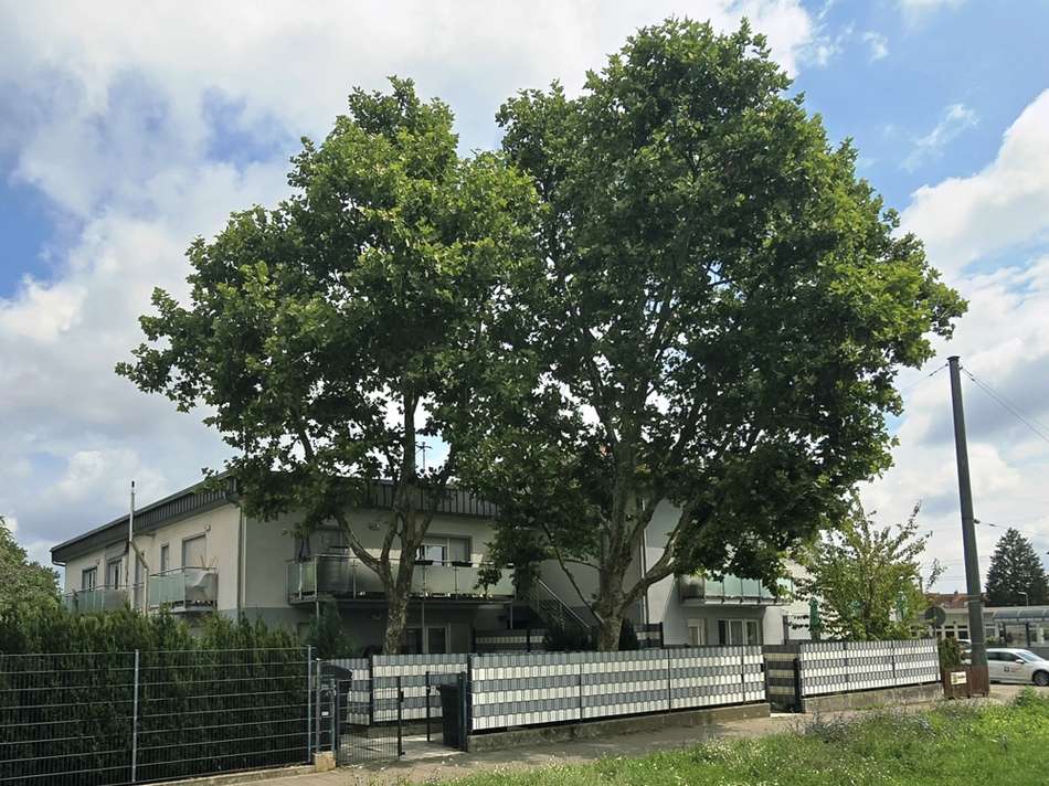 Ansicht Wohnungen