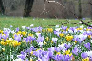 Property thumbnail 1