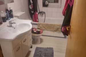 Schöne 3-Zimmer-Doppelhaushälfte mit Einbauküche in Landau an der Isar – Dingolfing-Landau (Kreis) – Vorschaubild 7