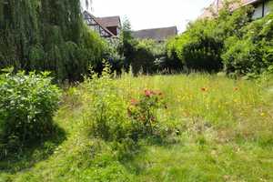 EFH mit kl. Laden, großer überdachter Dachterrasse ,großem bebaubarem Grundstück und Scheune – Schwalm-Eder-Kreis – Vorschaubild 43